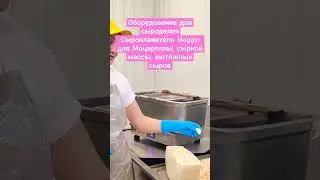 Оборудование для сыроделия / Сыроплавитель Maggio для Моцареллы, сырной массы, вытяжных сыров.