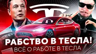 РАБСТВО В ТЕСЛА? Всё о работе в компании ТЕСЛА! ВСЕ РАБОТЫ ХОРОШИ?