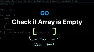 How to check if an Array is Empty in Go language? Examples | ProgramGuru.org