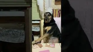 Люся после корпоратива🤪 