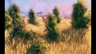 Немного рейда и Valheim