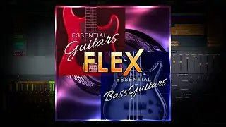 FLEX Essential Guitars & Bass Guitars Highlights 2