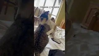 Будни нашей большой семьи😅 