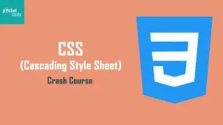 CSS Crash Course for Absolute Beginners || In 30 Minutes