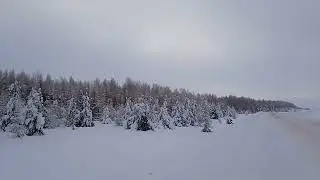 Лесная сказка у дороги.