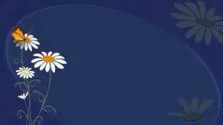 Футаж бабочка Butterfly для текста или слайд-шоу