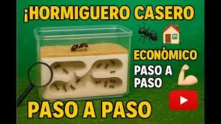 El HORMIGUERO CASERO 🐜 MAS ECONÓMICO 2.0💶 .