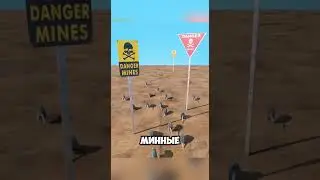 Изучили крыс саперов  на войне 