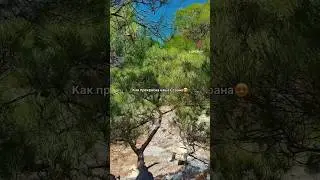 Подпишись ❤️репост 🙏 