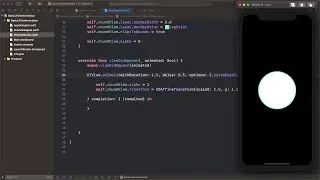 Basic UIView Animation Swift #2