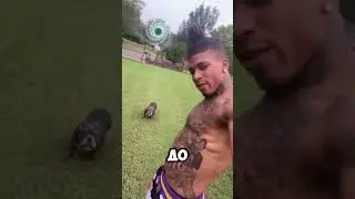 Нападение собаки - что делать? 😭