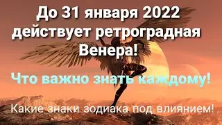 До 31 января правит ретроградная Венера! 2 знака зодиака под особым давлением!
