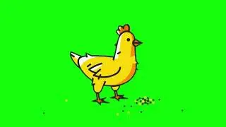 Chicken Green Screen Effects