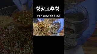 💥청양고추청(든든한 맛내기 양념) #shorts