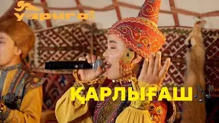 “Қарлығаш” Халық әні. “Япурай” этно-ансамбль. Шымкент 2024