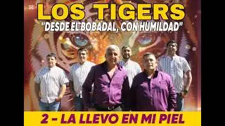 LOS TIGERS 