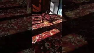 кабки Чанги гибрит 3500см номер986766868