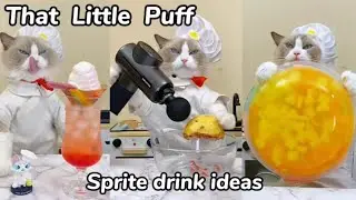 Ideas for Sprite! | That Little Puff