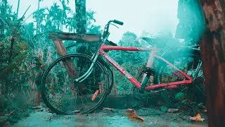 You Hate The Rain? How Could Someone Hate The Rain!! || Embracing the Rain: A Cinematic Journey