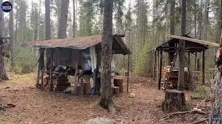 Охота на медведя и лося.