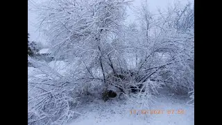 ОБРАЩЕНИЕ к ДЕДУ МОРОЗУ 2021 год Letter to Santa Claus 2021 год