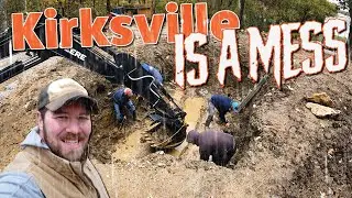 Tarantula Downpour Disaster: A Pond Project Nightmare!