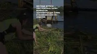 Очистка озера Рама