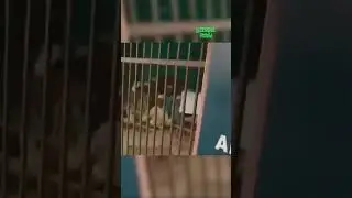 Поездка в медресе — и 14 часов задержания
