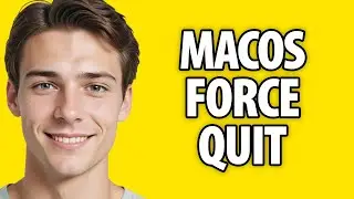 How To Force Quit On Mac (2024)