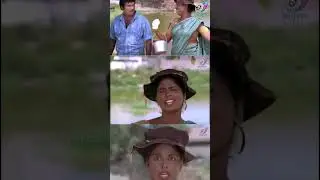 Goundamani Sathyaraj Comedy | #Tamilcomedy | #Shortsfeed | #Shorts | #Comedy