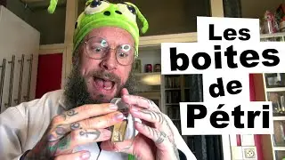 Les boites de Petri (ep 64)