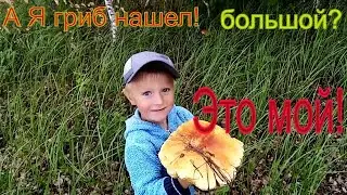 По грибы 2021 Белые пошли .Жизнь в деревне