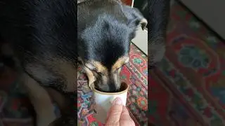 Люся ОЧЕНЬ интеллигентная женщина 😍☕️ 