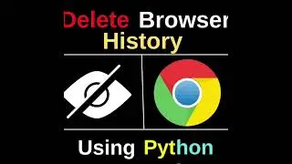 Delete browser history using Python 