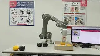 Коллаборативный робот TM Robot сортирует предметы