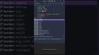 CSS Input Text 