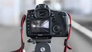 CHOOSING THE BEST BUDGET CAMERA FOR BEGINNERS IN 2020!