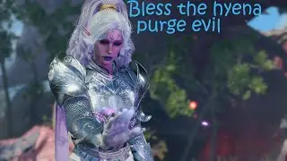 Baldur's Gate 3 - Bless the hyena, purge evil [High Elf-Cleric of Selune]