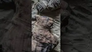 Жуткая находка которую ученые не могут объяснить... 