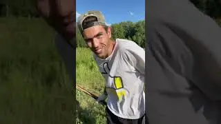 Сенокос