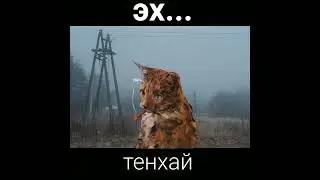 зоопарк (г.о)