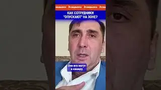 Как сотрудники 