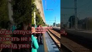 #shorts #море #сочи Хорошо отдыхать, но надо домой. Сочи Хоста октябрь 2023