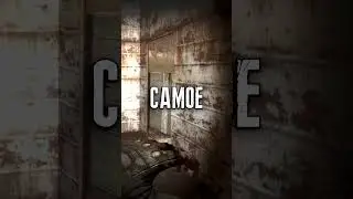 Как сломать сюжет в начале игры Сталкер Зов Припяти 