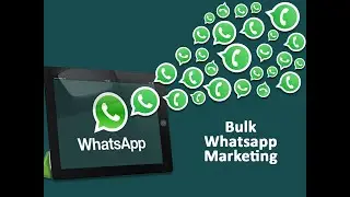 WATSAPP AUTOMATION TOOL CREATED BY CYBER WOLF 🐺 #programming #coding #python #cyberwolf