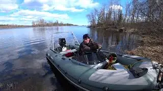 РИБ Русские амфибии