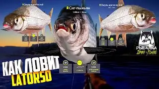 Русская рыбалка 4.🎣 р. Нижняя Тунгуска 🐟🐟🐟💦 КАК ЛОВИТ LATORSO 👀