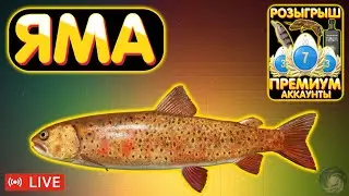 р. Яма 🔥 Розыгрыш ПРЕМОВ и ЗОЛОТА 🔥 Рулетка 🔥 Турниры 🔥 Русская Рыбалка 4 рр4 стрим 