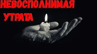 Основатель группы «Звуки Му» Липницкий погиб, пытаясь спасти собаку