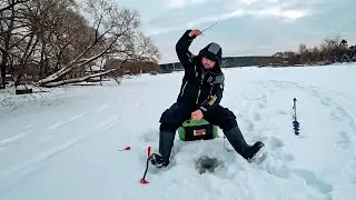 ЗЕЛЁНАЯ МОРМЫШКА БЕСИТ ПЛОТВУ! Зимняя рыбалка в ПОДМОСКОВЬЕ. Ловля плотвы на БЕЗМОТЫЛКУ.